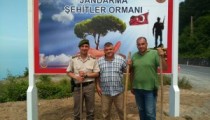 ALAPLI’DA ŞEHİTLER ORMANI OLUŞTURULDU